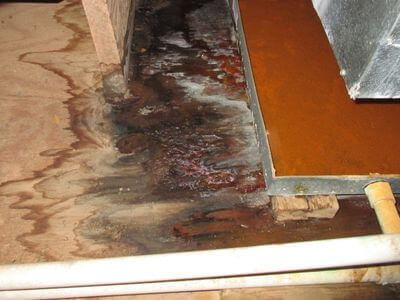 About Residential Water Damage Repair Gainesville - water damage restoration experts in Gainesville
